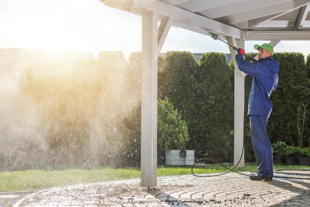 Best Animal Enclosure Cleaning  in Arroyo Seco, NM
