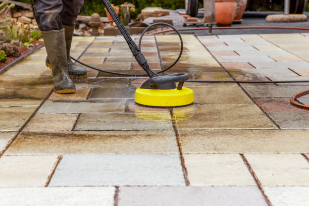 Animal Enclosure Cleaning in Arroyo Seco, NM